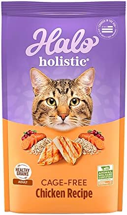 Halo Holistic Cage Free Chicken Cat Food, Healthy Grains Dry Cat Food, Complete Digestive Health, Kibble for Adult Cats, 3 lb Bag
