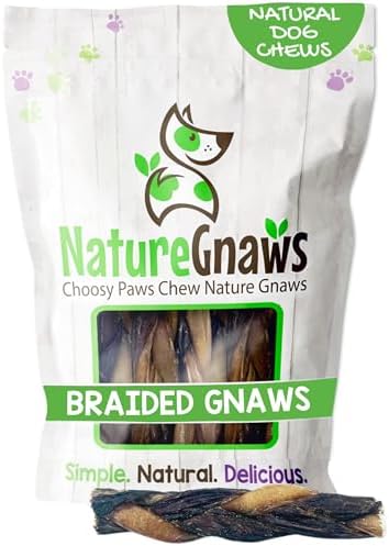 Nature Gnaws Braided Bully Twists for Dogs 5-6" (10 Count) - Long Lasting for Small and Medium Dogs - Natural Beef Dog Chew Bones