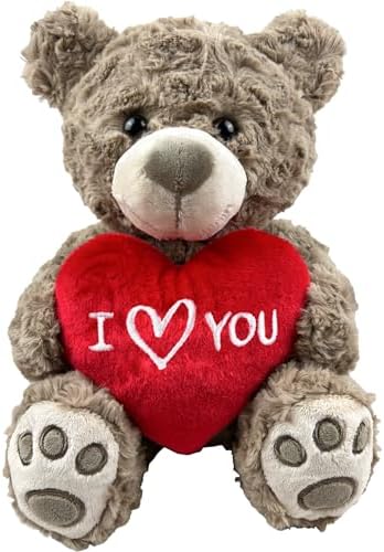 Valentines Day Gifts | I Love You Teddy Bear 10” | I Love You Stuffed Animal | Stuffed Animals for Girls | I Heart You