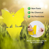 80 Pack Yellow Sticky Traps, Fruit Fly Fungus Gnat Trap for Indoor/Outdoor Use, Houseplant Sticky Bug Insect Catcher Glue Trappers