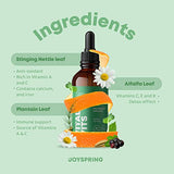 JoySpring Greens for Kids | Liquid Kids Multivitamin with Stinging Nettle Leaf, Alfalfa Leaf, Fennel Seed & More | Natural Toddler Multivitamins with whole Herbs | Sugar Free