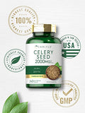 CARLYLE Celery Seed Extract Capsules 1500mg | 240 Count | Herb Supplement