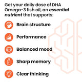 NeuroQ Memory DHA-400 - Omega-3 Fish Oil Supplement - Mental Performance & Balance - Supports Neuro Brain Health - Protects Against Memory Loss & Improves Focus - 120 Softgels