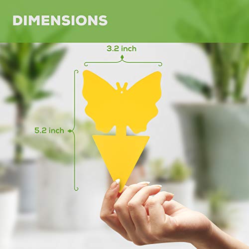 Fruit Fly Gnat Killer Traps 64 Pack Indoor Outdoor for House Plants - Sticky Yellow Catcher Trap - Fruit Fly, Fungus Gnats, Mosquito, Flying Insect Bug Pest, White Flies, Home Kitchen