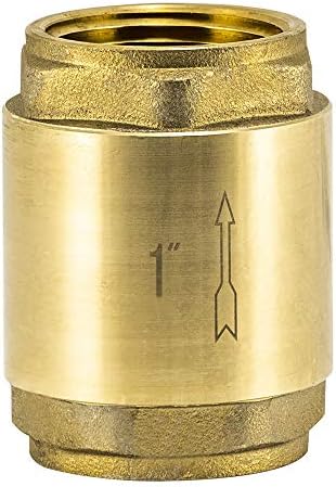 EZ-FLO Brass In-Line Check Valve, 1 Inch IPS, Stainless Steel Spring, 20405LF