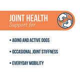 Synovi G4 Dog Joint Supplement Chews, 240-Count, for Dogs of All Ages, Sizes and Breeds