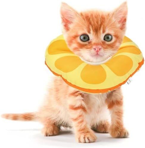 Kitten Cones After Surgery 0-6 Months, Donut Extra Small Kittern Cone Collar Soft to Stop Licking Neck, Elizabethan Kitten e Collar for Recovery