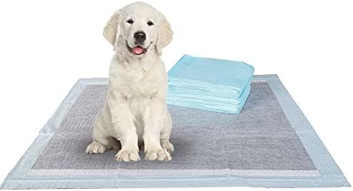 BV Puppy Pads Leak-Proof 600 Count 22"x 22" | Pee Pads for Dogs 6-Layer- Charcoal Dog Pee Pads- Dog Pads 600 Pack- Potty Pads for Dogs- Puppy Pee Pads, Pee Pad Training Pads for Dogs, Pet Pee Pads
