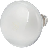 2pk Incandescent Soft White 65w Reflector Flood