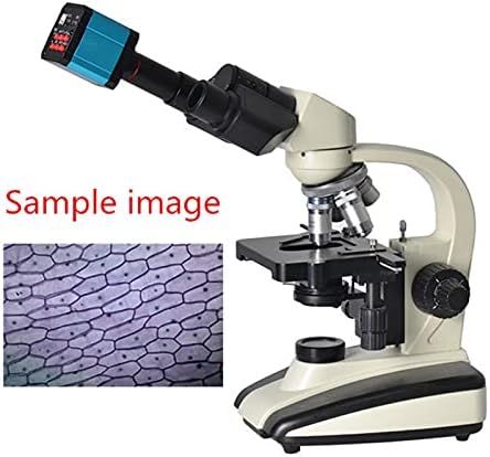37MP Industrial Microscope Camera with USB, Lab Microscope Accessories, Standard Output, Convertible Adapter, for Microscope (US Plug)