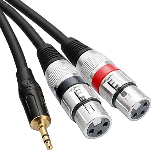 TISINO Dual XLR to 3.5mm Stereo Mic Cable, 2 XLR Female to 1/8 Inch Mini Jack Y-Splitter Breakout Lead Microphone Cord - 10 feet