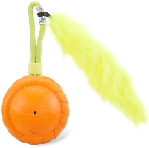 Outward Hound Tail Spinner Squeaky Dog Chase Toy with Furry Tail