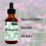 Echinacea 2 fl oz Liquid Extract - Organic Root, Leaf, Flower, Seed - Natural Herbal Supplement - Body, Immune System Support Tincture - High Potency Drops - 45-Day Supply