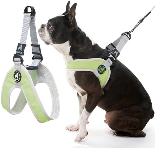 Gooby Simple Step in III Harness - Green, Large - Small Dog Harness with Scratch Resistant Outer Vest - Soft Inner Mesh Harness for Small, Medium Dogs