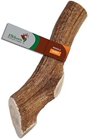 Giant Whole Single Pack (for 75+ lb Dogs) Premium Grade Elk Antler for Dogs (1 Piece) Sourced in The USA