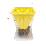 Voltup Fruit Fly Trap for Indoors Reusable Non-Toxic Funnel Fruit Fly Catcher with Sticky Pads Safe for Pets in House and Kitchen Easy to Use and Controls Fruit Flies with Natural Lure 2PCs