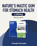 FromBIO Chios Mastic Gum Supplement for Stomach (30 Sticks) - Alternative to Probiotics for Digestive Health. 1,050mg Mastic, 107.8mg Oleanolic Acid