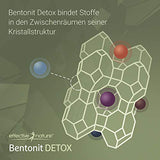 effective nature - Bentonit Detox - 400 g - Zertifiziertes Medizinprodukt zur Bindung von Schwermetallen im Körper - 100% ultrafein - Made in Germany - Ohne unerwünschte Zusätze