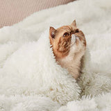 Bedsure Soft Cream Twin Blanket for Bed, Fluffy Fuzzy Blankets Twin Size for Couch, Sofa, Cozy Plush Sherpa Fleece Faux Fur Blanket, Thick Warm Christmas Blanket Gifts for Women, Men, 60x80