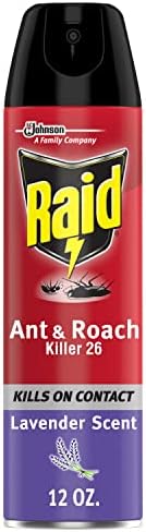 Raid Ant & Roach Killer Spray For Listed Bugs, Keeps Killing for Weeks, Lavender Scent, 12 oz