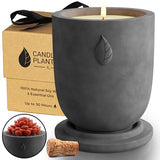 CandlePlanter Concrete Cement Candle Planter - Candles for Home Scented, Soy Candles - Scented Candle & Dual Purpose Jar Candles, Strong Scented Candles - 8 Oz, 50-Hour Burn (Grey Lavender)