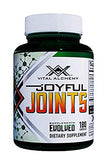 Joyful Joints by Vital Alchemy |Highest Grade Glucosamine, Turmeric, MSM, Bromelain, Hyaluronic Acid,Cissus, MSM,Bioperine Highest Potent Joint Health and Muscle Support All in One