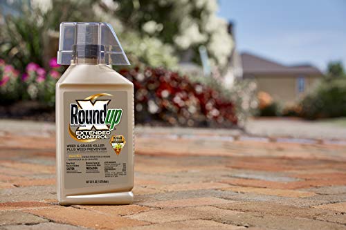 Roundup Concentrate Extended Control Weed & Grass Killer Plus Weed Preventer II