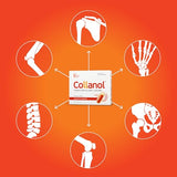 Collanol - Innovation in The Care of Healthy Joints - Liquid Formula in a Double Capsule 3D Collagen + micellar Extract of Turmeric Roots 1 Capsule/Day. Laboratory Tested (Pack of 1)