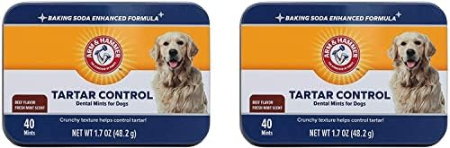 Arm & Hammer for Pets Tartar Control Dental Mints for Dogs Dog Dental Mints Reduce Plaque & Tartar Buildup for All Dogs Beef Flavor (Pack of 2)