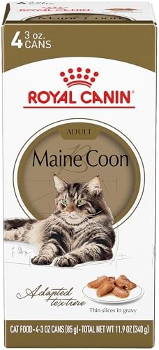 Royal Canin Maine Coon Breed Thin Slices in Gravy Adult Wet Cat Food, 3 oz can (4-pack)
