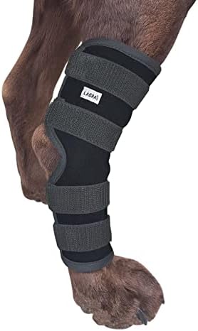 Labra Dog Extra Supportive Canine Rear (Hind) Leg Hock Joint Compression Wrap for Recovery, Protection, and Sprain and Injury Prevention, Ankle Brace with Knee Support for Dogs - Small