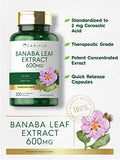 Carlyle Banaba Leaf Extract Capsules 600mg | 200 Count | Non-GMO, Gluten Free