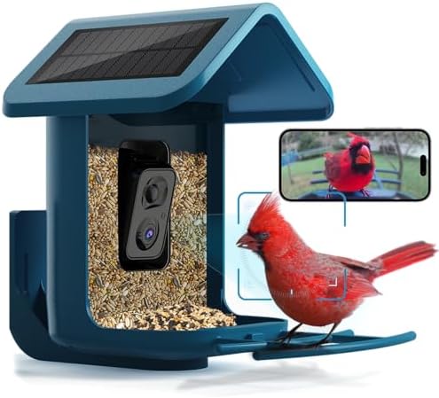 Bird Feeder with Camera Solar Powered: Smart Camera Bird Feeder 2K Live Feed Cam for Outdoor Backyard - Ai Identify Auto Capture Bird Videos, 2.4GHz WiFi Bird Camera, Gifts for Birdlover Mom Dad