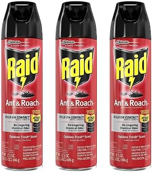 Raid Ant & Roach Spray Outdoor Fresh 17.50 oz (Pack of 3)