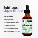 Echinacea 2 fl oz Liquid Extract - Organic Root, Leaf, Flower, Seed - Natural Herbal Supplement - Body, Immune System Support Tincture - High Potency Drops - 45-Day Supply