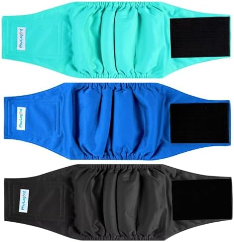Paw Legend Washable Dog Belly Band Wrap Diapers for Male Dog | High Absorbing Puppy & Doggy Diapers Male (3 Pack,Blue,Aqua,Black,XS)