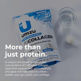 UMZU zuCollagen Protein - 5 Collagen Types - Hair, Nail & Skin Vitamins - 20g Protein - Supports Skin Elasticity, Circulatory System, Gut Health & More - 20 Servings - Unflavored