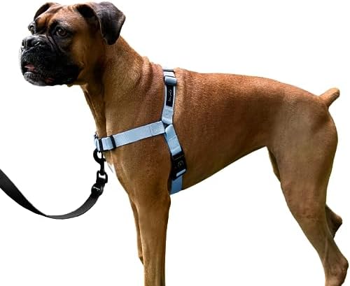 ShawnCo Dream Walk No-Pull Dog Harness- Adjustable, Comfortable, Easy to Use Pet Halter to Help Stop Pulling for Small, Medium and Large Dogs (Moonglow, M)