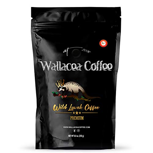 Wallacea Coffee Certified Wild Kopi Luwak Coffee Ground, Civet Coffee, Kopi Luwak From Gayo Sumatra Indonesia low acid medium dark roast (8.8 oz)