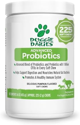 Doggie Dailies Probiotics for Dogs, 225 Soft Chews, Advanced Dog Probiotics with Prebiotics, Promotes Digestive Health, Supports Immune System and Overall Health (Pumpkin)