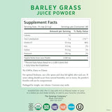 PURE SYNERGY Organic Barley Grass Juice Powder | Chlorophyll-Rich Greens Powder | Organic Cold-Pressed Barley Grass Juice | for Energy, Detox, and Digestion Support (5.3 oz. Powder)