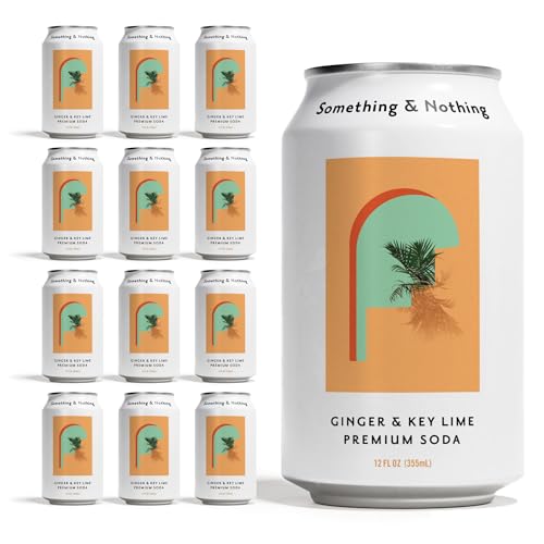 Something & Nothing Flavoured Sparkling Water - Lightly Carbonated, Full Flavoured with Added Grape & Lemon Juice | Vegan & Low Calorie Soda | 355ml Cans, Pack of 12 (Ginger & Key Lime)
