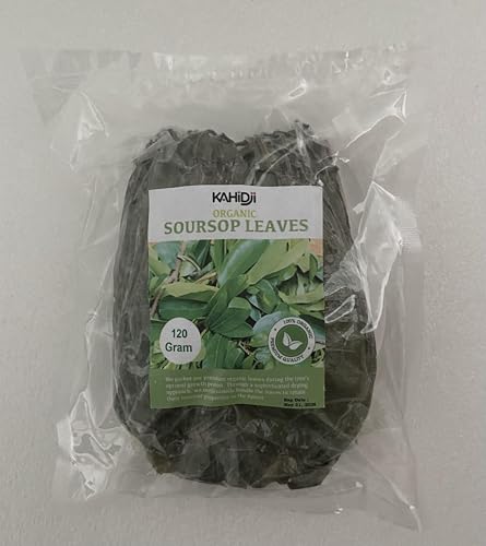 ORGANIC Dried Soursop Graviola Guanabana 100% Pure Leaves for Tea 120 gram (more than 320 leaves) Non-GMO - Caffeine-free - Improve Digestion, Antioxidant-rich, Support Healthy Skin & Sleep