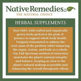 NATIVE REMEDIES Epi-Still-S - All Natural Herbal Supplement for Stress-Induced