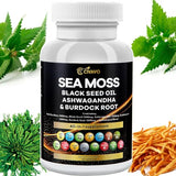 Sea Moss 3000mg Black Seed Oil 2000mg Ashwagandha 1000mg Bladderwrack 1000mg Turmeric 1000mg Burdock 1000mg Vitamin C & D3 Elderberry Manuka Dandelion Yellow Dock Chlorophyll ACV
