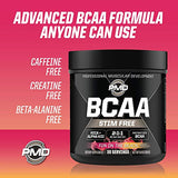 PMD Sports BCAA Stim-Free Amino Acids - Better Workout Performance, Enhanced Recovery, Daily Energy, Muscle Builder, and Muscle Sparing - BCAA Powder Drink Mix - Fun on The Beach (30 Servings)