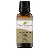 Plant Therapy Ginger Root CO2 Essential Oil 100% Pure, Undiluted, Natural Aromatherapy, Therapeutic Grade 30 mL (1 oz)