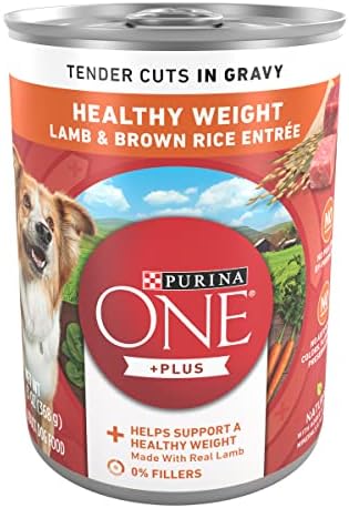 Purina ONE Plus Tender Cuts in Gravy Healthy Weight Lamb and Brown Rice Entree in Wet Dog Food Gravy - (Pack of 12) 13 oz. Cans