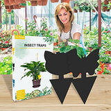 24 Pack Black Sticky Traps for Indoor Outdoor Natural Pest Control, Fruit Fly Trap and Black Fungus Gnat Traps for House Plants, Whitefly, Mosquito Bits, Flying Insects, Fly Traps Save Your Plants