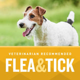 VetIQ Flea & Tick Support for Dogs, Flea and Tick Chewable for Dogs, Supports Dog's Natural Flea Defenses, Free of Added Chemicals and Garlic, Hickory Smoke Flavor, 60 Count